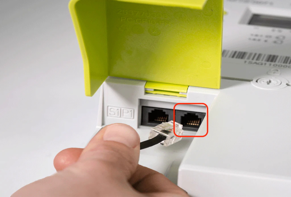 What is a P1 port?