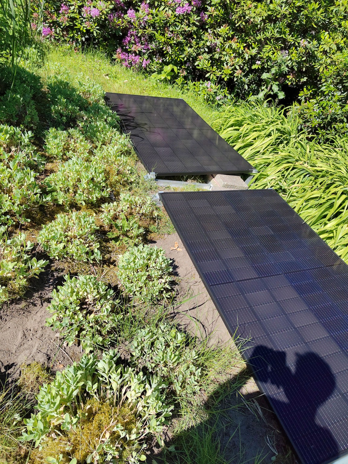 Solar panels in the garden